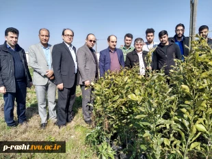 کاشت نهال با هدف ترویج و حفظ محیط زیست در دانشکده شهید چمران دانشگاه فنی و حرفه ای استان گیلان 7