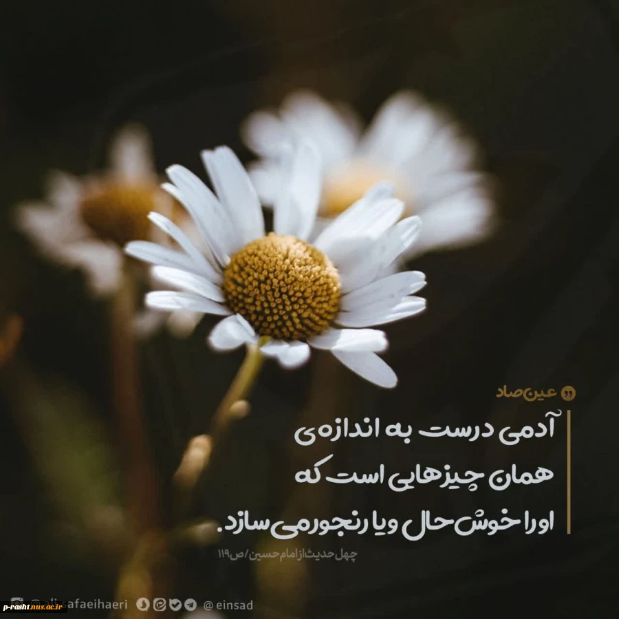 حدیث هفته 2