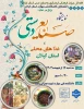 نمایشگاه صنایع دستی و غذا های بومی و محلی 3