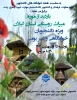 بازدید از موزه میراث روستایی استان گیلان ویژه دانشجویان غیر بومی و خوابگاهی 3